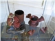 tata_2010_06