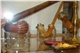 dsc07307