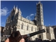 Maros Siena katedrala