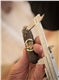 Measuring a competition cigar.