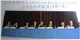 Jury