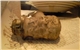 Trenciansky_hrad_06_3
