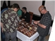 MMS_Modra_2011_03